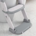 3-in-1 Toddler Potty Training Toilet Seat Gray